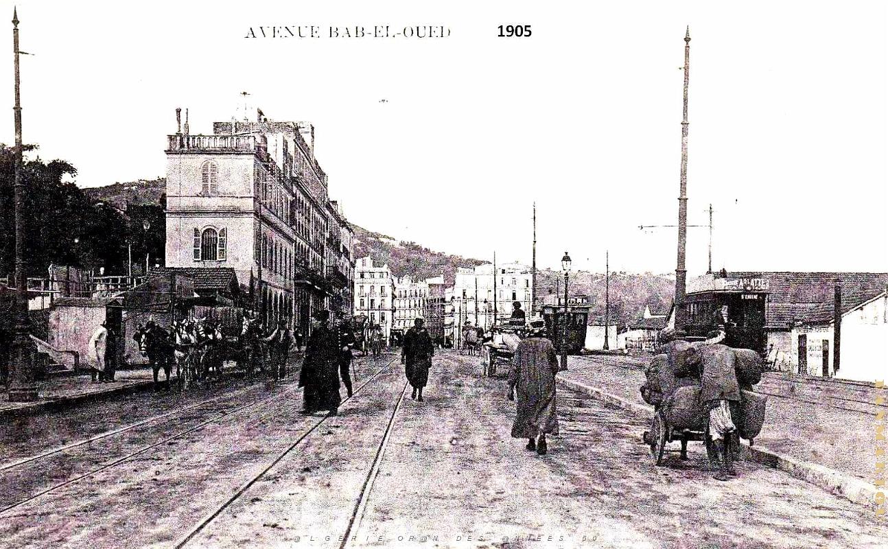 2542- Alger - Avenue de Bab-El-Oued - 1905.jpg